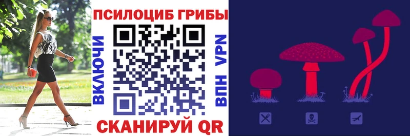 Галлюциногенные грибы мицелий  Купить закладки  Сясьстрой 