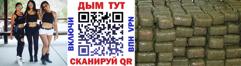 Купить  Сясьстрой  Шишки марихуана Ganja 